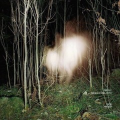 die fly [kesha x owl city] 80bpm