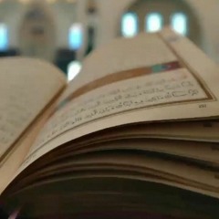 آخر ربع في سورة المائدة من صلاة التراويح | الشيخ عبدالعاطي أحمد