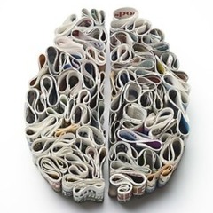 Paper brain p.snuzi