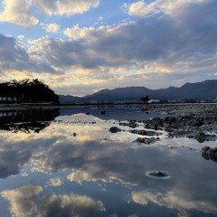 これも結局嘘なんだから