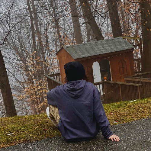 When the Leaves Begin to Fall w/ David Terner