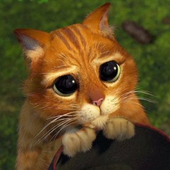 всюмоюкоманду + @ilyvice (blickyhomeboy)