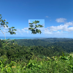 am.mp3 (arctic monkeys - when the sun goes down)