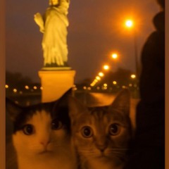 arizona Prod.Xorevenge