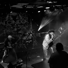 Distant But Not Yet Dead (Live Full Set)