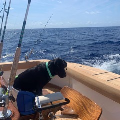 Just put a lime on my beer.mp3