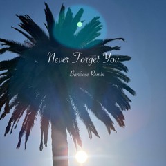 MNEK & Zara Larsson - Never Forget You (Ban∂ose Remix)