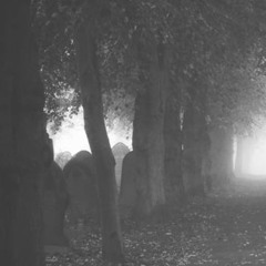 The graveyard (city of the silent stones)