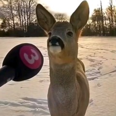 chmuura - ŁAP (prod. pieruun)