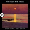 Tải video: Through The Tree's with Ty - 02.04.2023