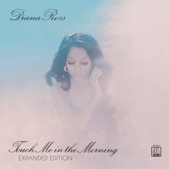 Touch Me In The Morning (Single Version)