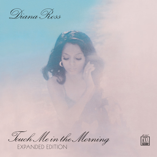 Touch Me In The Morning (Single Version)