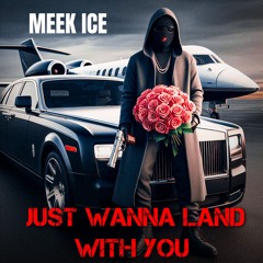 just wanna land wit you