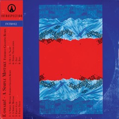 #INTR042 E-DWARD! - A SIMPLE MISTAKE incl. FEDERICO GRAZZINI REMIX