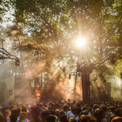 Wakato @ Into the Woods Festival 2023