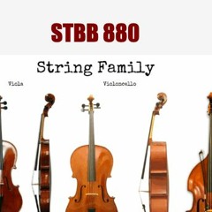 STBB#880 String Family Week Hosted by The Widely Unknown