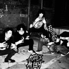 PARTY ROCK ANTHEM Ashes At Last cover