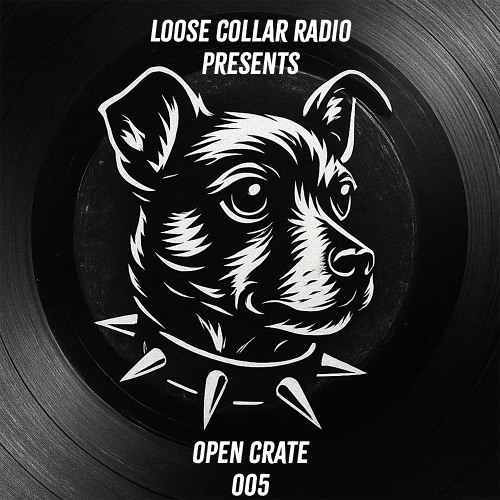 Loose Collar Radio - Open Crate 005