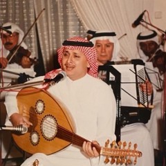 يا سيدهم وينك - عبدالمجيد عبدالله