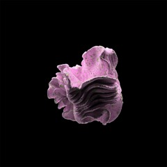 IV96 - Nandu - Daydreams