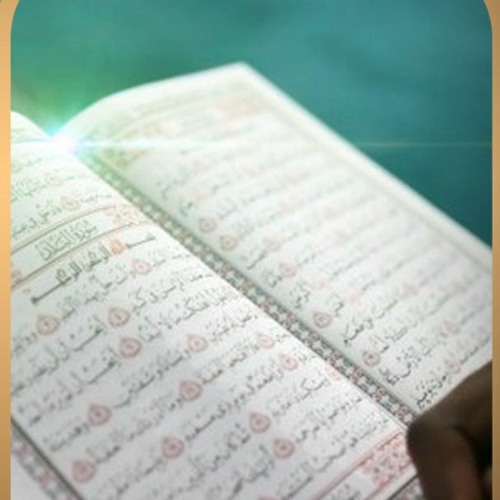 محمد صديق المنشاوي / هو الذي خلقكم من تراب