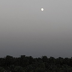 البدرُ يكمل كل شهرٍ مرةً