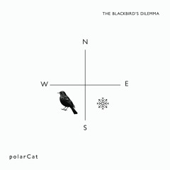 The Blackbird's dilemma
