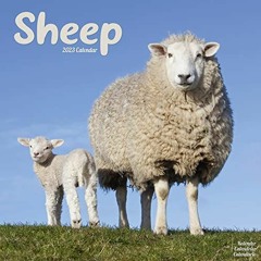 VIEW KINDLE PDF EBOOK EPUB 2023 Sheep Wall Calendar by  Avonside Publishing Ltd 🗸