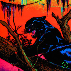 PREMIERE: Panthera - The Love Machine
