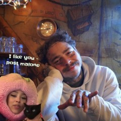 Post Malone - I Like You