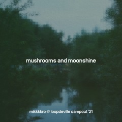 mikkkkro @ loopdeville campout 21