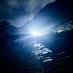 Coffee Lester - Late