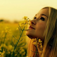 Acoustic Medley dream background music DOWNLOAD