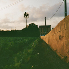 Ambar: Sound Diaries #002
