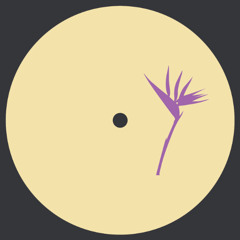 A1. Up & Down, Seko - Dynamic (Original Mix)