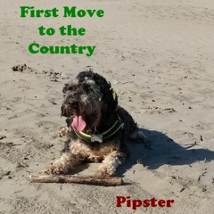 First Move To The Country