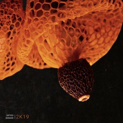 Sayyed Bandar - 2K19 [album preview]
