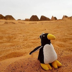 Kevin Chilly (Penguin In The Desert) - MUENSTER, Draco Erotic, & Kevin From The Start