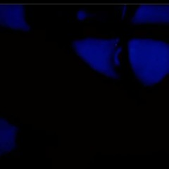 { WHERE THE FUCK IS MY DRANK }    E.  V.  O.  L.  -MIX II-