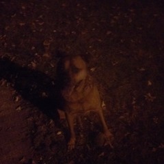 DJ Bathtub - Turntable Piece #1 (06-13-2016)(First Mix)