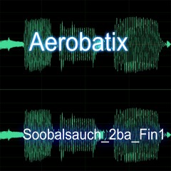 Soobalsauch 2ba Fin1