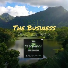 Tiesto - The Business (DeepKaos Remix)