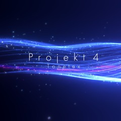 Projekt 4 (remastered)