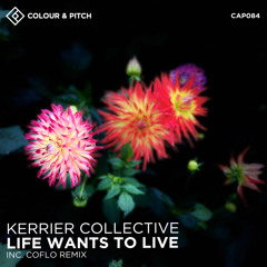 PREMIERE Kerrier Collective - Life Wants to Live [Colour and Pitch]