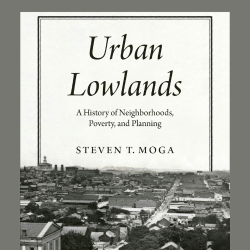 Urban Lowlands: A History of Neighborhoods, Poverty, and Planning (Sample)