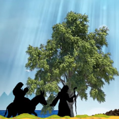 بالبركة يا مصر | فريق قلب داود