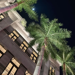 raq baby - dead bodies & more maggots (slowed)