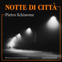 NOTTE DI CITTA'