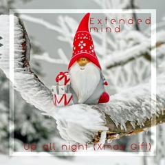 Extended Mind - Up All Night (Original Mix) - Xmas Gift