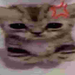 surf curse - freaks (cover)